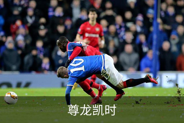 尊龙凯时公司简介